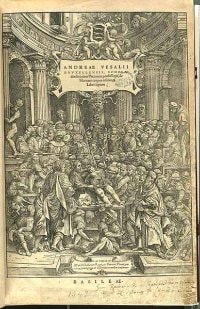 Andreas Vesalius Human Anatomy Book
