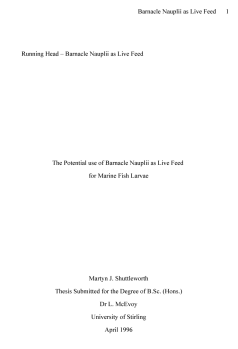 APA Title Page