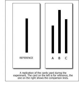 Asch Experiment - Figure 1