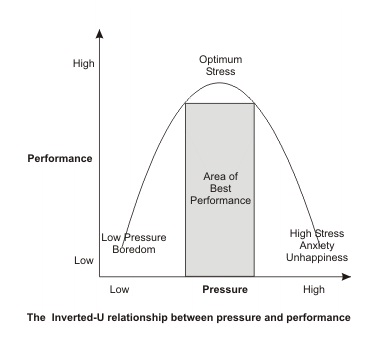 Relationship between stress and performance