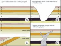 Stenos Laws
