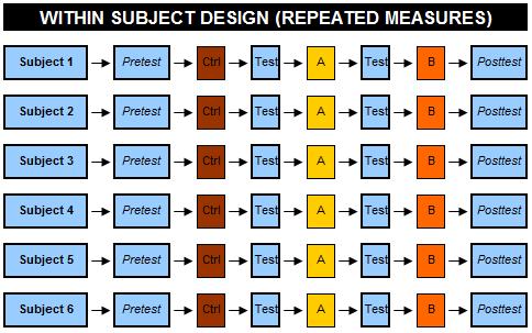 Within Subject Design Within Subject Design